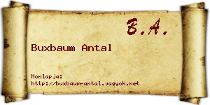 Buxbaum Antal névjegykártya
